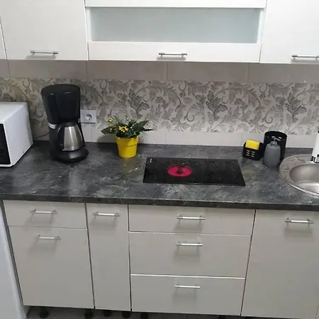 Apartment Leon Central Sibiu