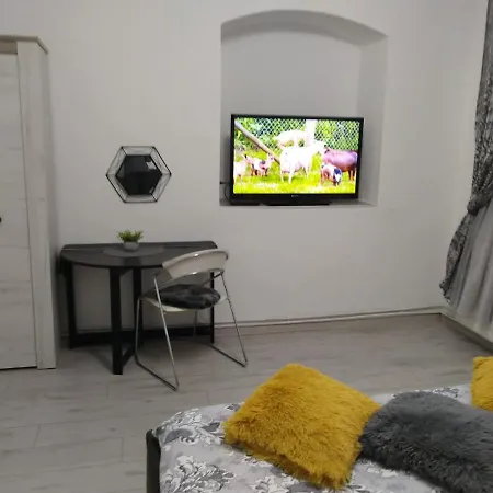 Apartment Leon Central